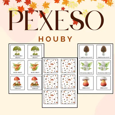 Pexeso - houby