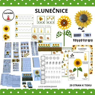 Slunečnice