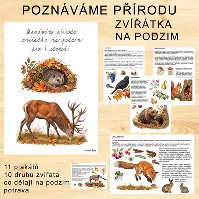 POZNÁVÁME PŘÍRODU - ZVÍŘÁTKA NA PODZIM PRO 1. STUPEŇ ZŠ