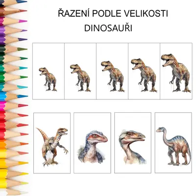 Řazení podle velikosti DINOSAUŘI