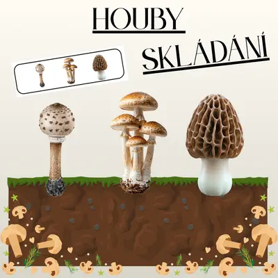 Houby - skládání dle předlohy