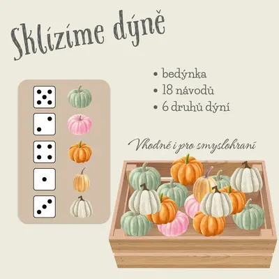 Sklízíme dýně