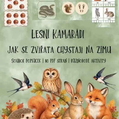 🍂 LESNÍ KAMARÁDI – Jak se zvířata chystají na zimu 🦔