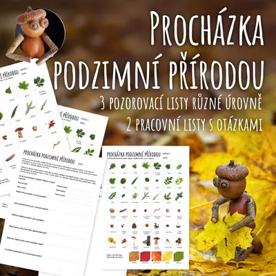 Procházka podzimní přírodou - podzimní hledačka