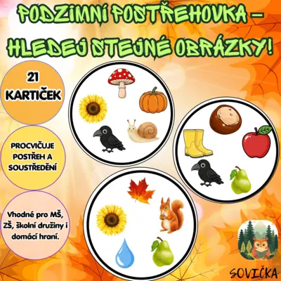 🍁 PODZIMNÍ POSTŘEHOVKA – HLEDEJ STEJNÉ OBRÁZKY! 🔎🍄