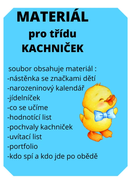 Třída kachniček