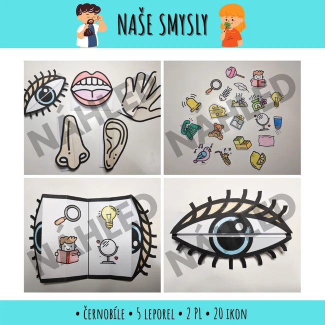 Naše smysly - leporela a pracovní listy