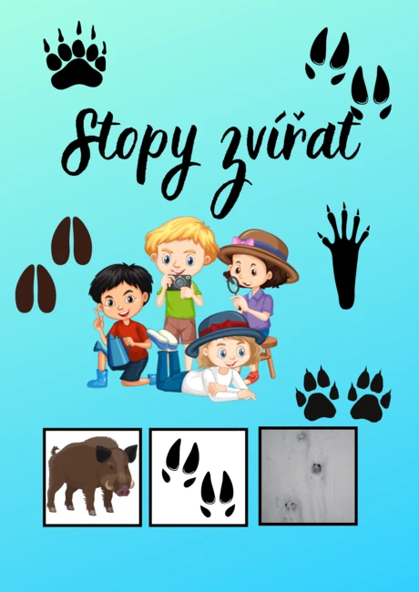 🐾🔎 STOPY 🔎🐾