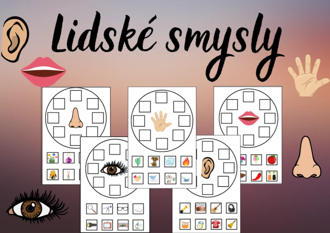Lidské smysly
