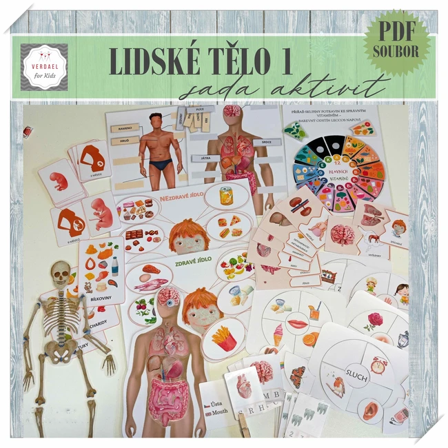 LIDSKÉ TĚLO - SADA 14 AKTIVIT