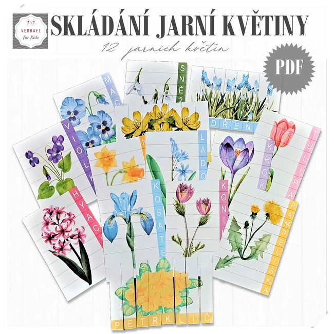 SKLÁDÁNÍ SLOV JARNÍ KVĚTINY