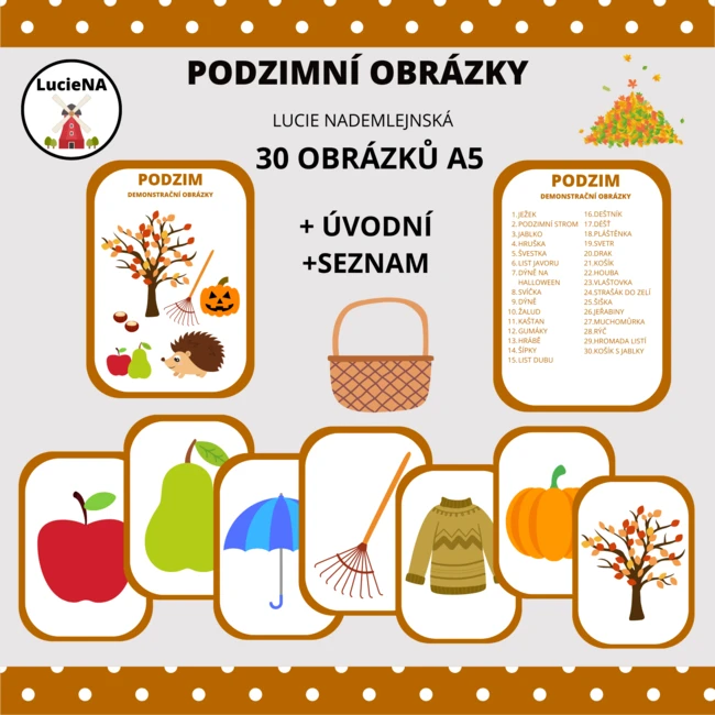 PODZIMNÍ DEMONSTRAČNÍ OBRÁZKY