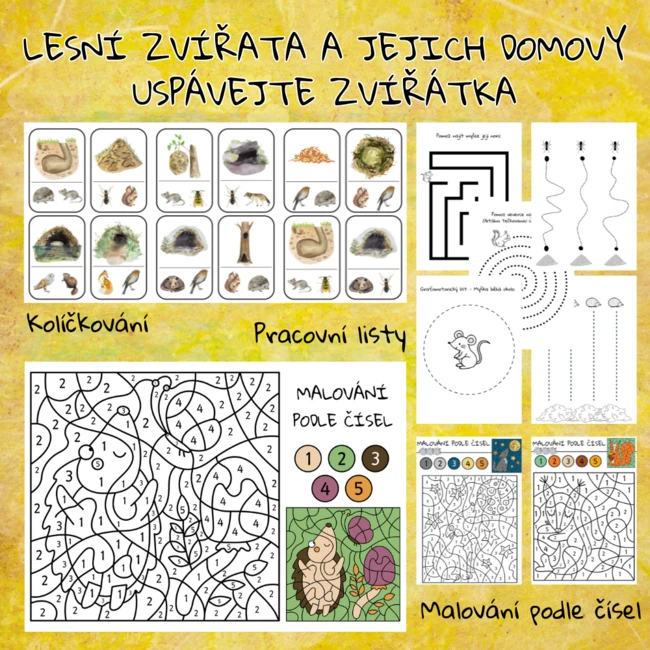 Lesní zvířata a jejich domovy, uspávání zvířátek