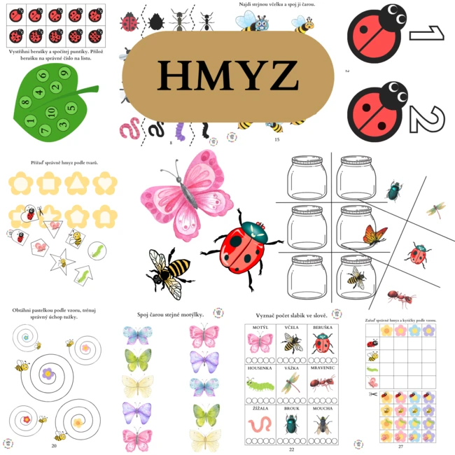 Hmyz