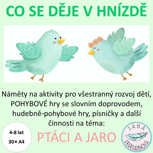 CO SE DĚJE V HNÍZDĚ- PTÁCI NA JAŘE/ různorodé aktivity