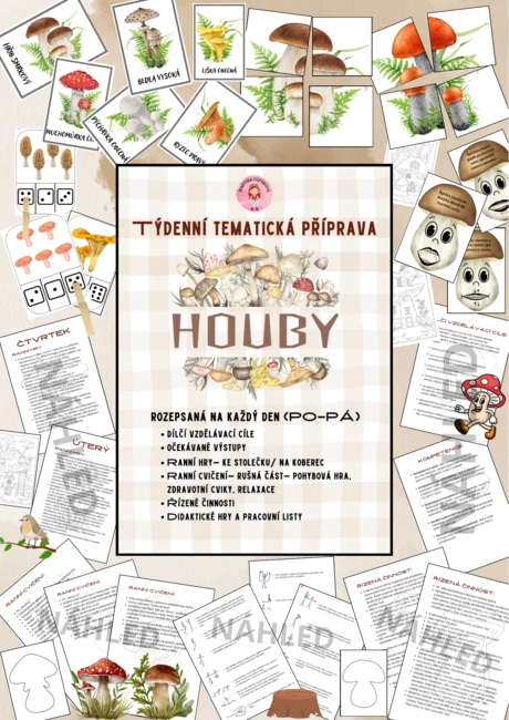 TÝDENNÍ TEMATICKÁ PŘÍPRAVA- Houby