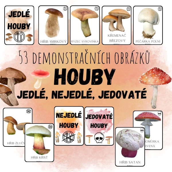 DEMONSTRAČNÍ OBRÁZKY - HOUBY (jedné, nejedlé, jedovaté)