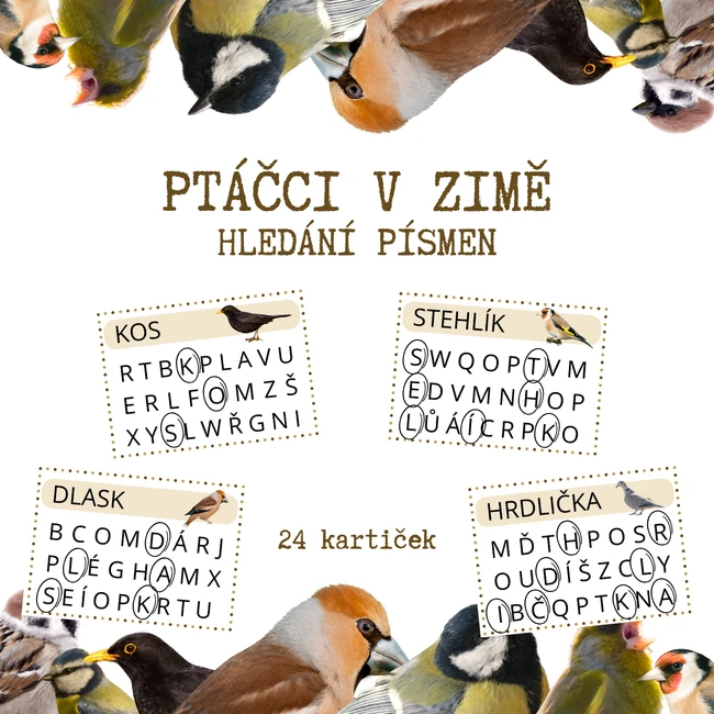 PTÁČCI V ZIMĚ - hledání písmen