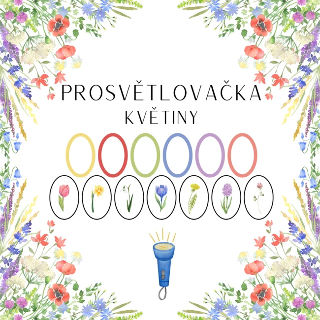 PROSVĚTLOVAČKA - KVĚTINY