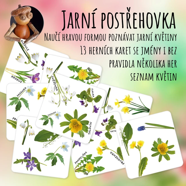 Postřehovka s jarními květinami