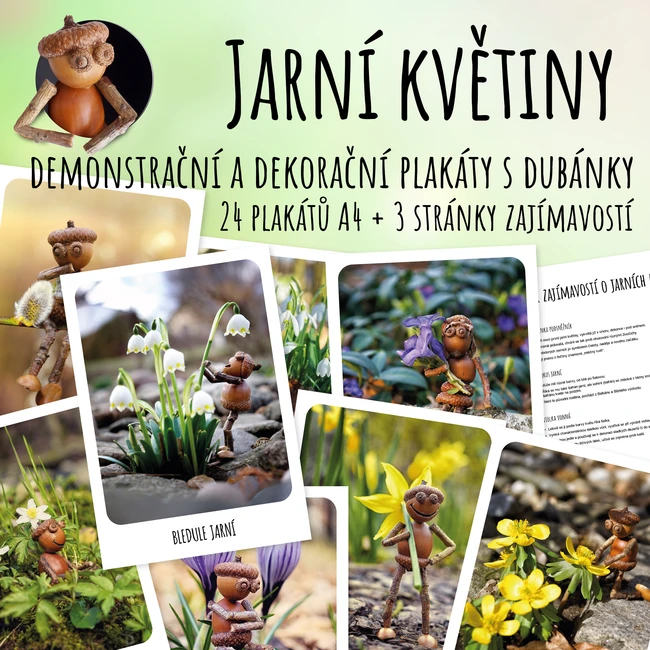 Jarní květiny - demonstrační a dekorační plakáty s dubánky