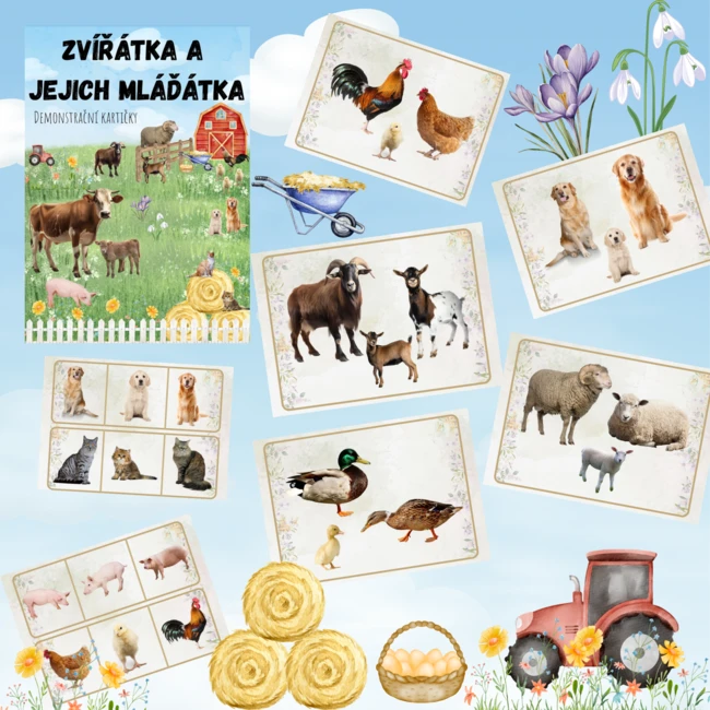 🐶🐱ZVÍŘÁTKA A JEJICH MLÁĎÁTKA 🐮🐷