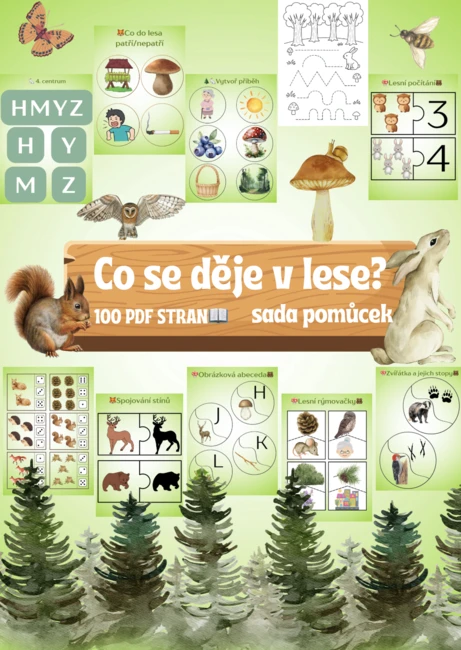 🌲✨ CO SE DĚJE V LESE? ✨🌳