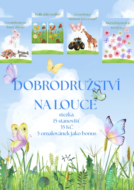 🌸 DOBRODRUŽSTVÍ NA LOUCE – výuková a zábavná aktivita pro MŠ 🐞