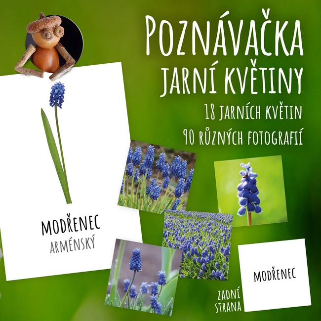 Jarní květiny - poznávačka