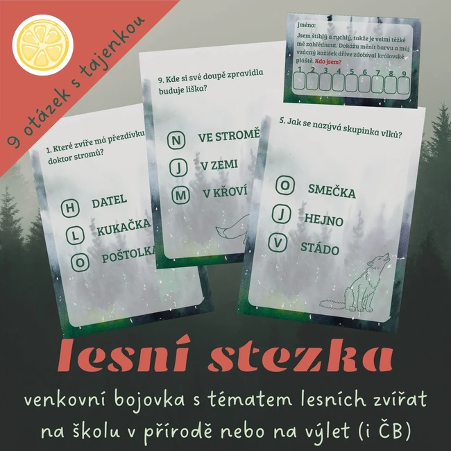LESNÍ STEZKA | venkovní bojovka na školku nebo školu v přírodě