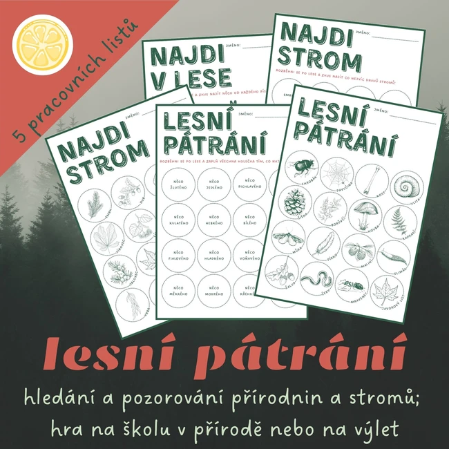 Lesní pátrání (nebo bingo) na školku v přírodě nebo na výlet