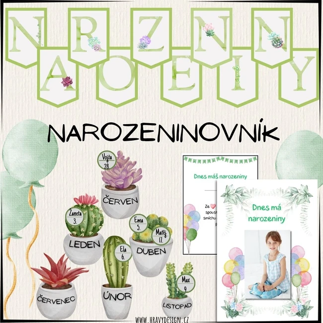 Narozeninovník - Sukulenty