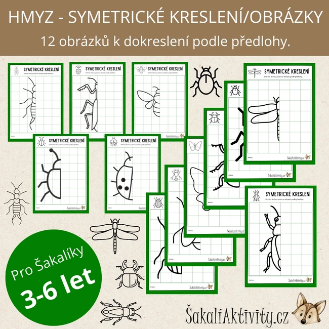  Symetrické obrázky/kreslení - HMYZ 