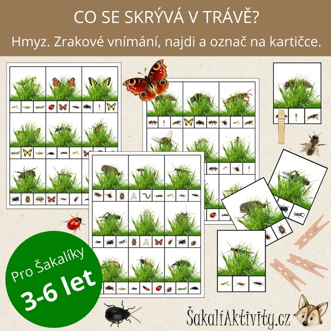  HMYZ - Co se skrývá v trávě? - zrakové vnímání 