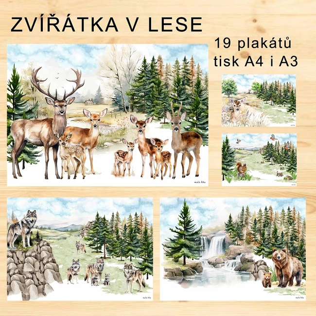 ZVÍŘÁTKA V LESE - PLAKÁTY