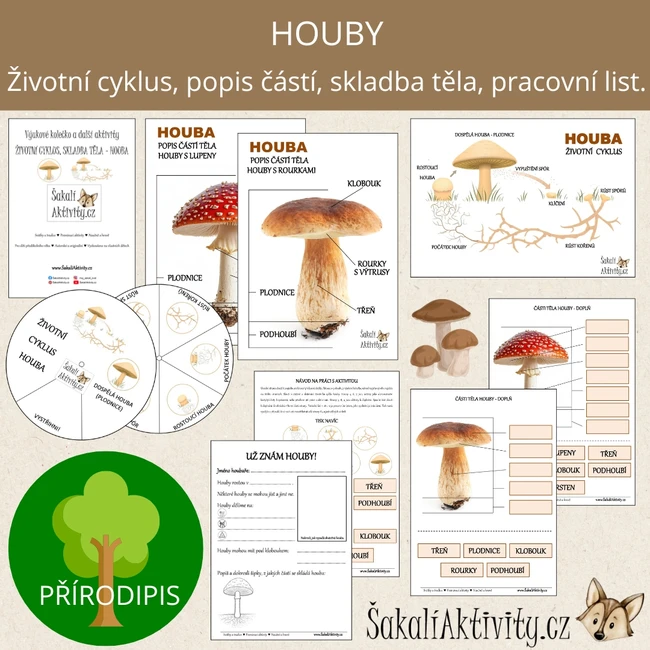  HOUBY - výukové kolečko, životní cyklus, popis částí 