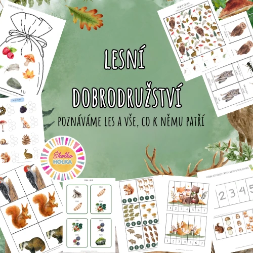Lesní dobrodružství - Poznáváme les a vše, co k němu patří
