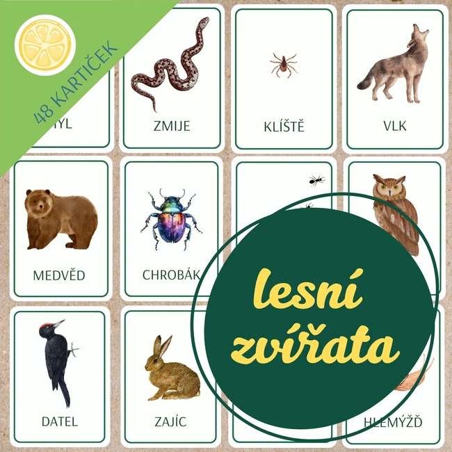 LESNÍ ZVÍŘATA | obrázkové demonstrační kartičky