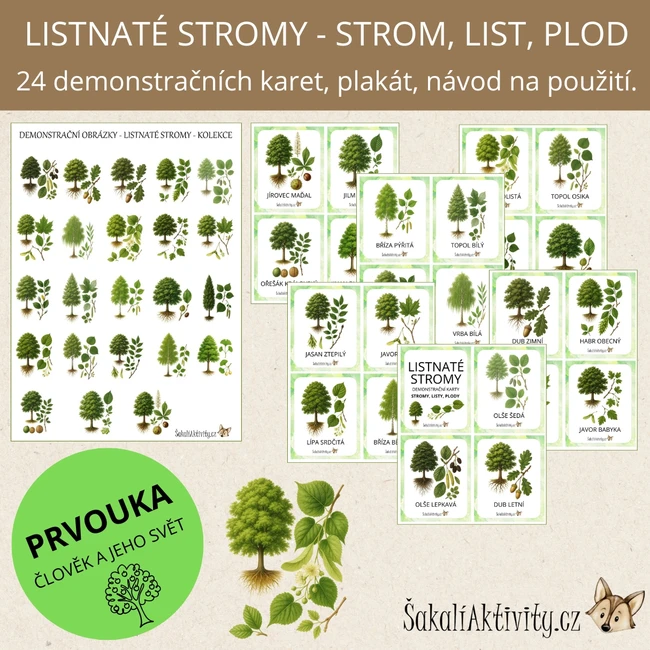 Listnaté stromy - strom, list, plod - demonstrační karty 