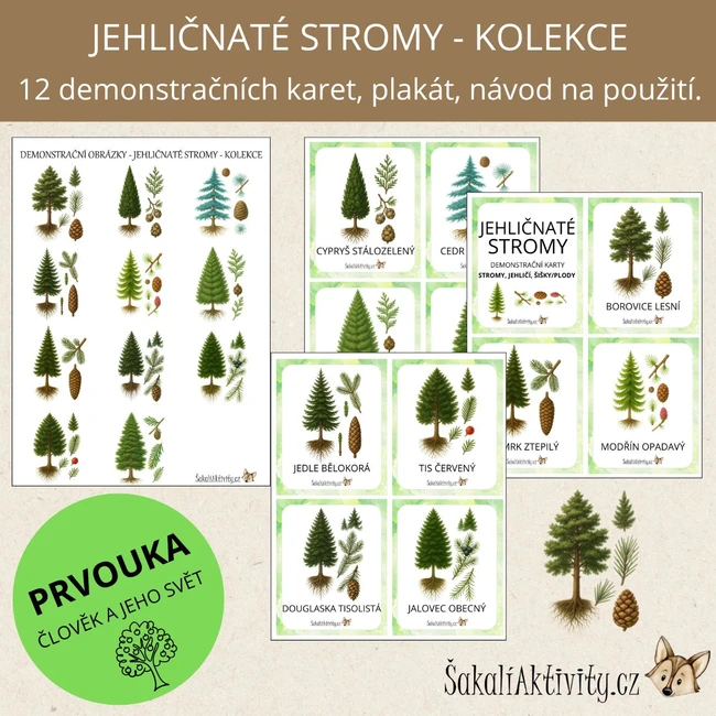  Jehličnaté stromy - strom, jehličí, šiška/plod - demonstrační karty 