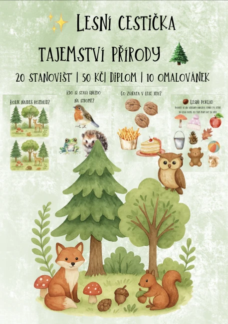 🌳 LESNÍ CESTIČKA TAJEMSTVÍ PŘÍRODY 🍄