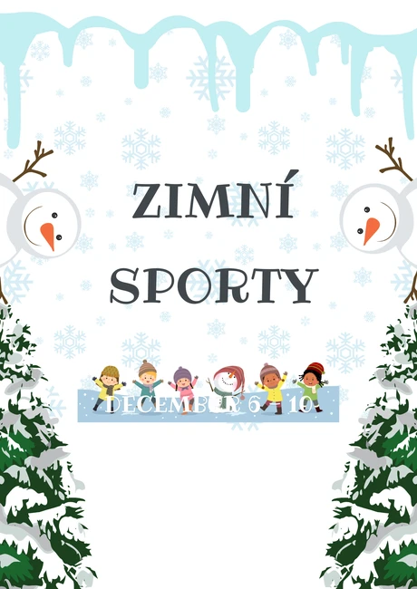 Zimní sporty