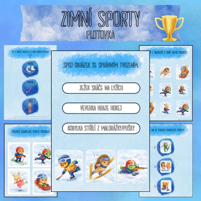 ZIMNÍ SPORTY - PLOTOVKA