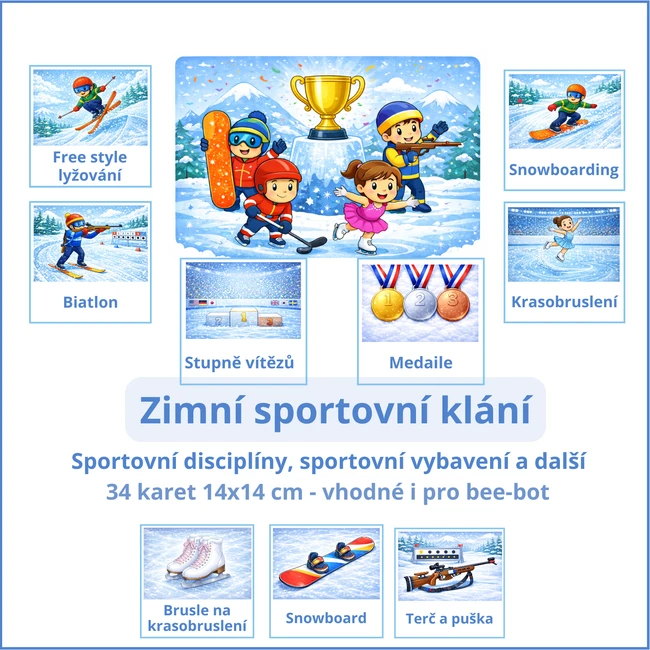 Zimní sportování
