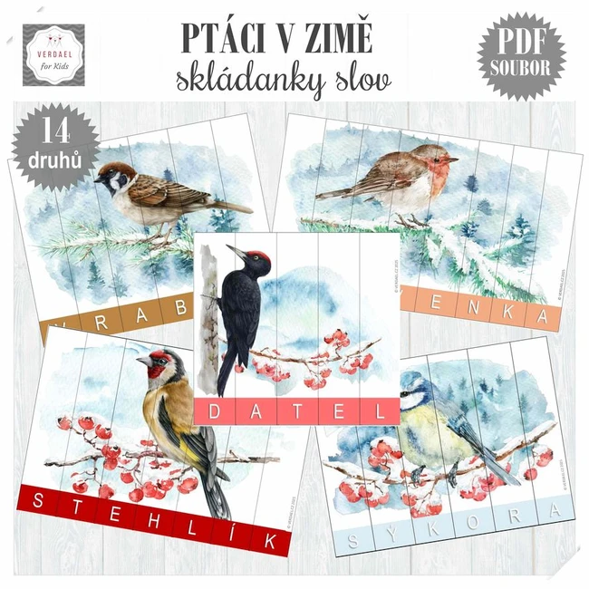 PTÁCI V ZIMĚ - SKLÁDANKY NÁZVŮ