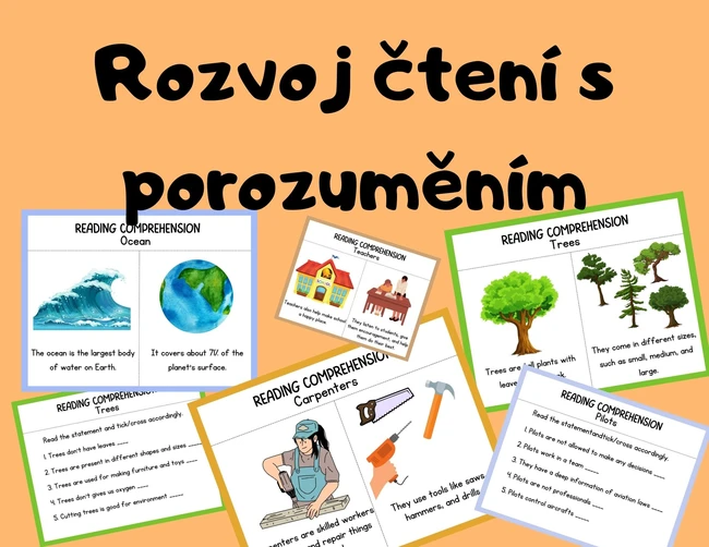 Čtení s porozuměním - angličtina