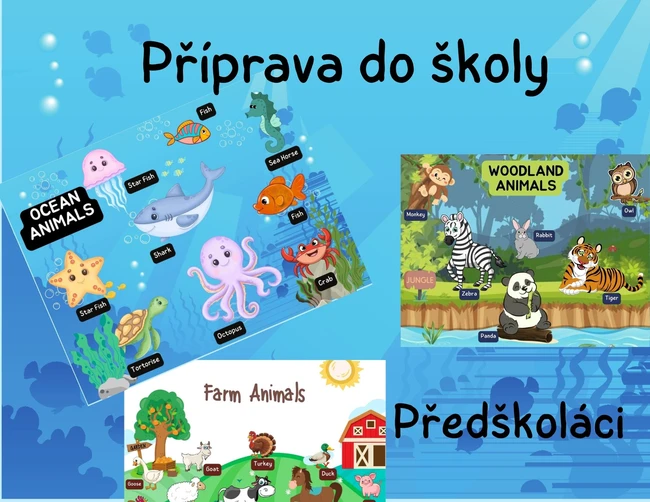 Příprava do školy - angličtina