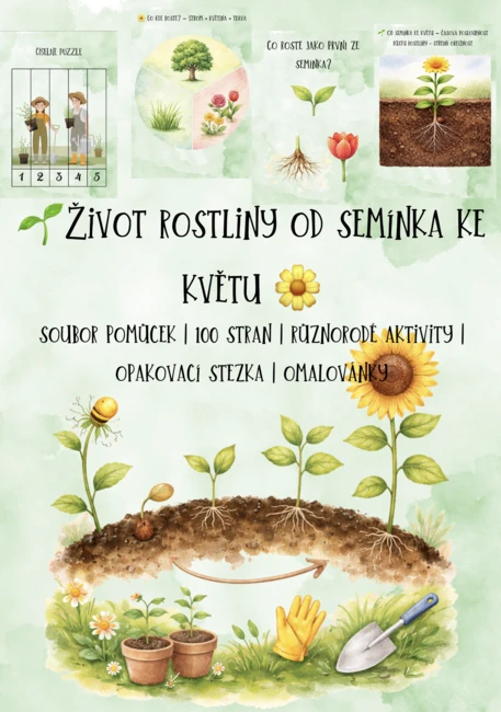 🌱 Život rostliny od semínka ke květu