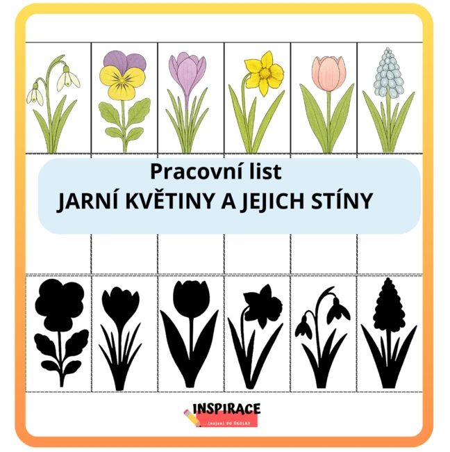 Jarní květiny a jejich stíny (zdarma)