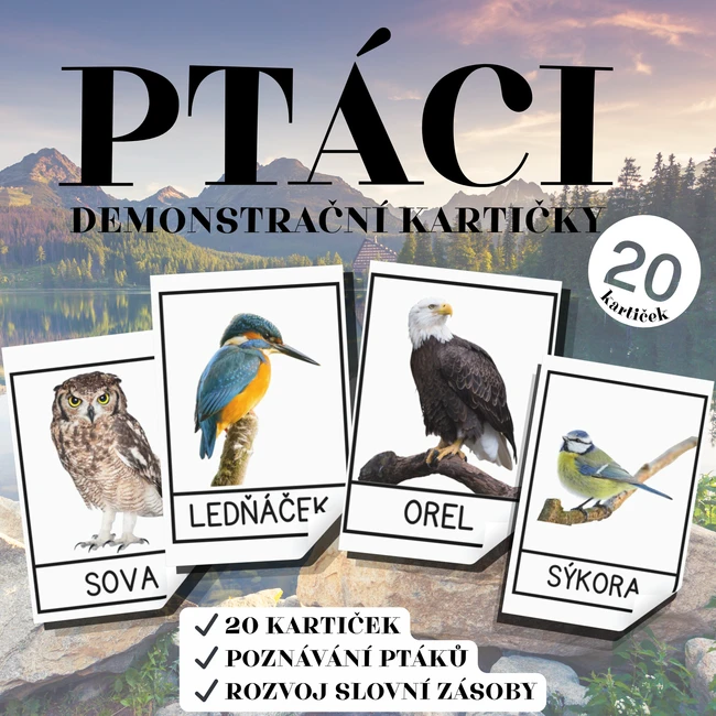 Ptáci – demonstrační kartičky (20 kartiček)